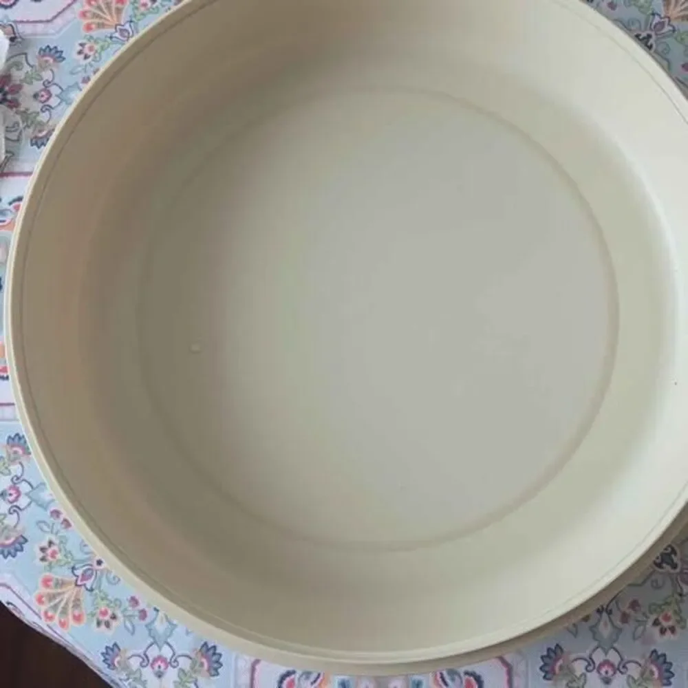 Tupperware vintage divided
